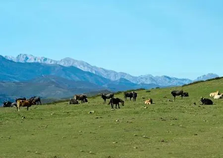 בית נופש Casa Junto A Reserva Del Saja, Bosque Y Montana Arenas de Iguña