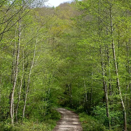 Casa Junto A Reserva Del Saja, Bosque Y Montaña Сasa de vacaciones Arenas de Iguña