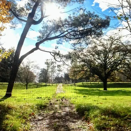 Casa Junto A Reserva Del Saja, Bosque Y Montana *