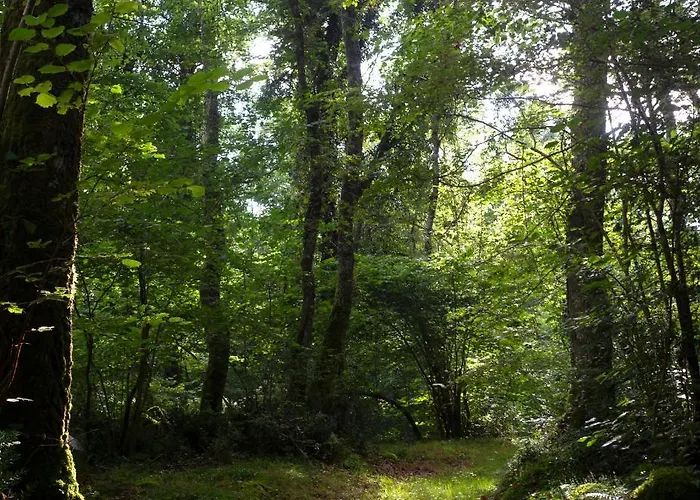 Casa Junto A Reserva Del Saja, Bosque Y Montana Feriehus Arenas de Iguña