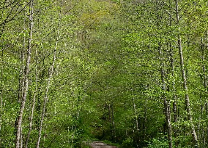 Casa Junto A Reserva Del Saja, Bosque Y Montana Feriehus Arenas de Iguña